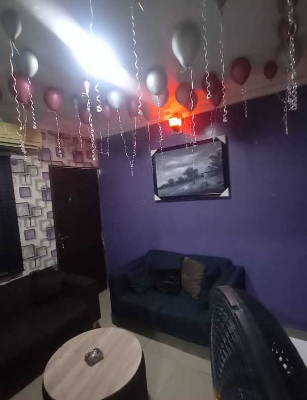 One Bedroom Mini Flat Apartment For Shortlet In Surulere Lagos Nigeria