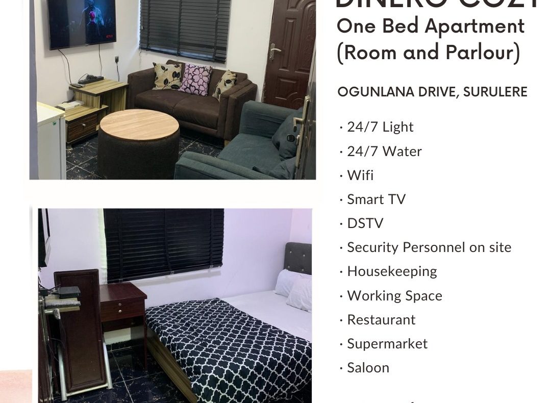 1 Bedroom Dinero Cozy Apartment Short Let In Lagos Nigeria
