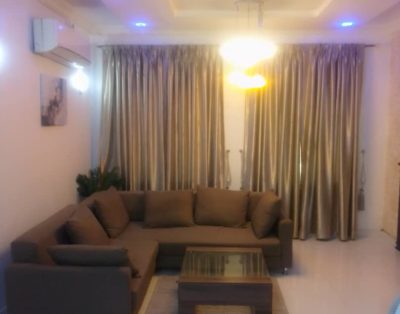 Luxury 2 Bedrooms Fully Serviced Apartment with 24hrs Power Supply Short Let in Lekki Phase 1, Lagos Nigeria