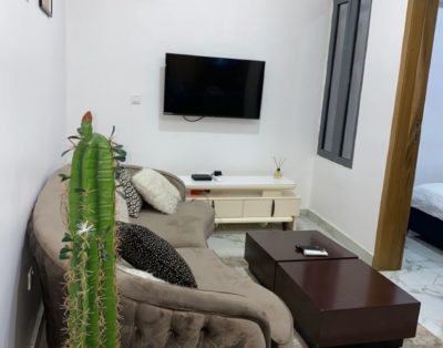 Lovely Modern One Bedroom Short Let Apartment in Lekki Phase 1, Lagos Nigeria