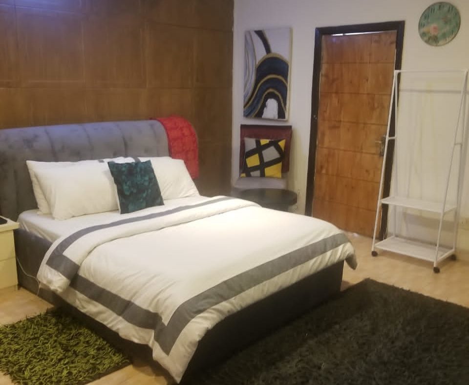 Cozy One Bedroom Apartment In Ikoyi Lagos Nigeria