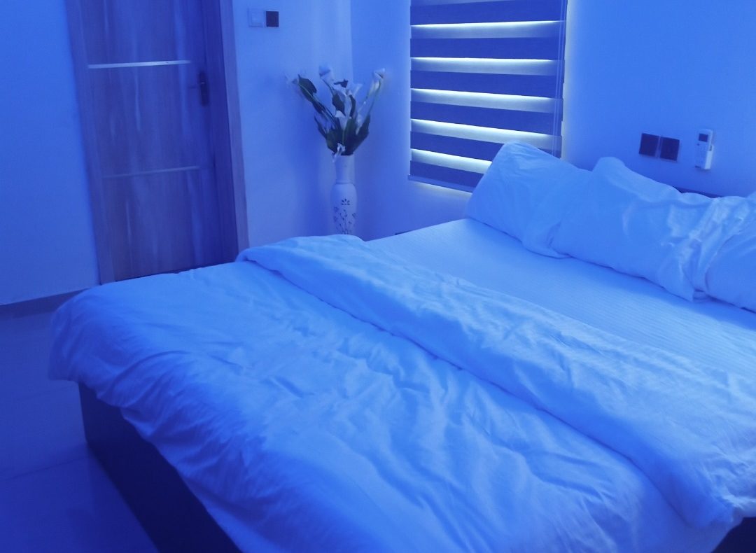 Luxurious 2 Bedroom Shortlet Apartment In Lagos Nigeria