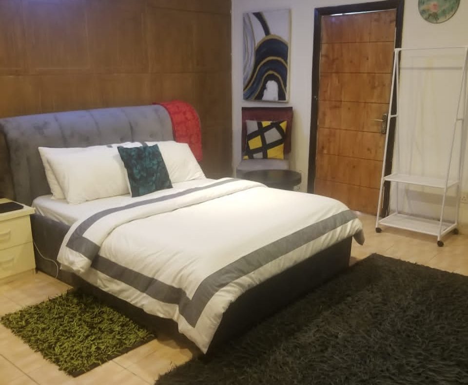 Cozy One Bedroom Apartment In Ikoyi Lagos Nigeria