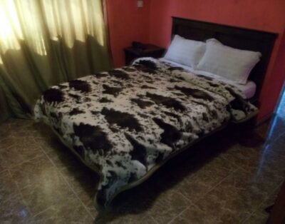 Studio Room In R And A City Hotel In Agege, Lagos