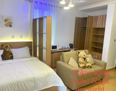 Tokyo Suite Room In Shortlet Haven Enugu In Enugu